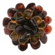 Bague d'ambre en forme de fleur multicouleur