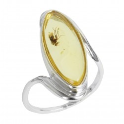 Bague Ambre miel avec inclusion insecte