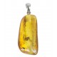 Pendentif ambre véritable avec 2 inclusions d'insecte