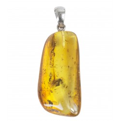 pendant with 2 insects