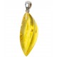 pendant with 2 insects