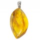 pendant with 2 insects