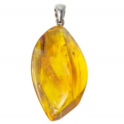 Pendentif ambre véritable avec 2 inclusions d'insecte