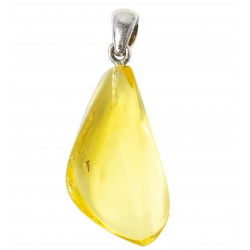 Pendentif ambre véritable avec 2 inclusions d'insecte