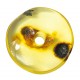 Pendentif Ambre jaune véritable forme donut + chaine cuir