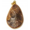 Amber pendant