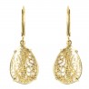 Gold plated earrings
