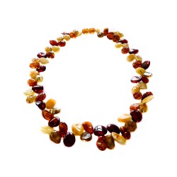 Collier d'ambre adulte multicolore