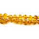 Collier ambre cognac adulte perle ronde